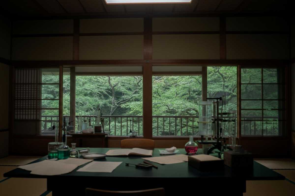 Scimpanzé Ai: un addio che segna la fine di un'era nella scienza