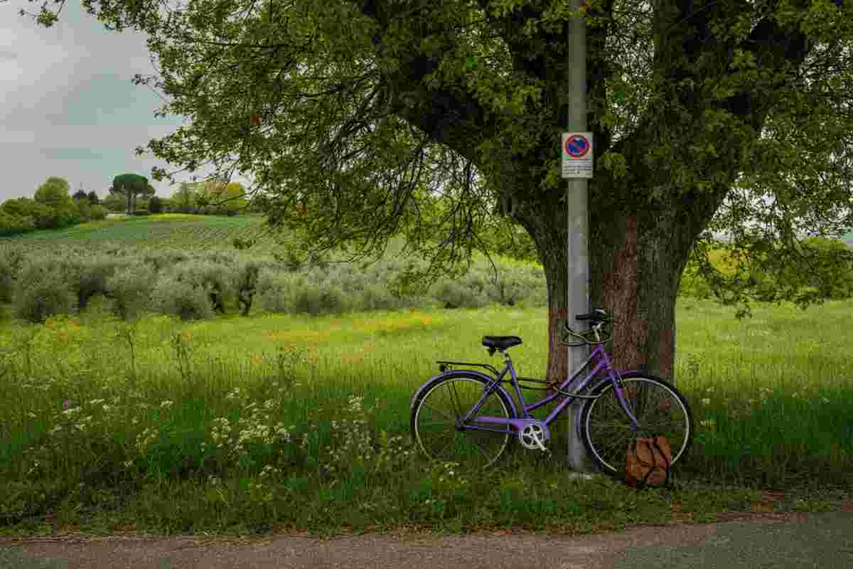 Tragedia a 22 anni: il messaggio straziante di Annabella Martinelli prima del suicidio