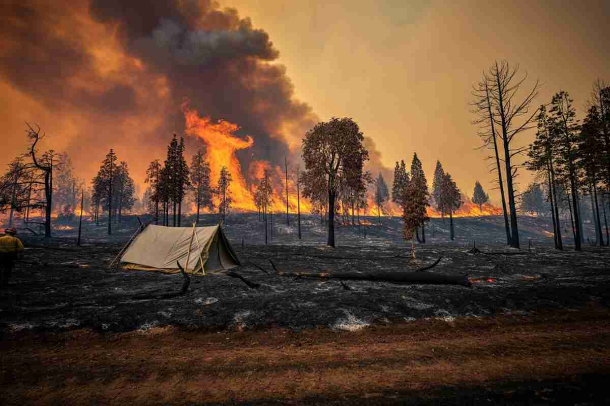 Tragedia in Cile: incendi devastanti causano 15 morti e 19 feriti
