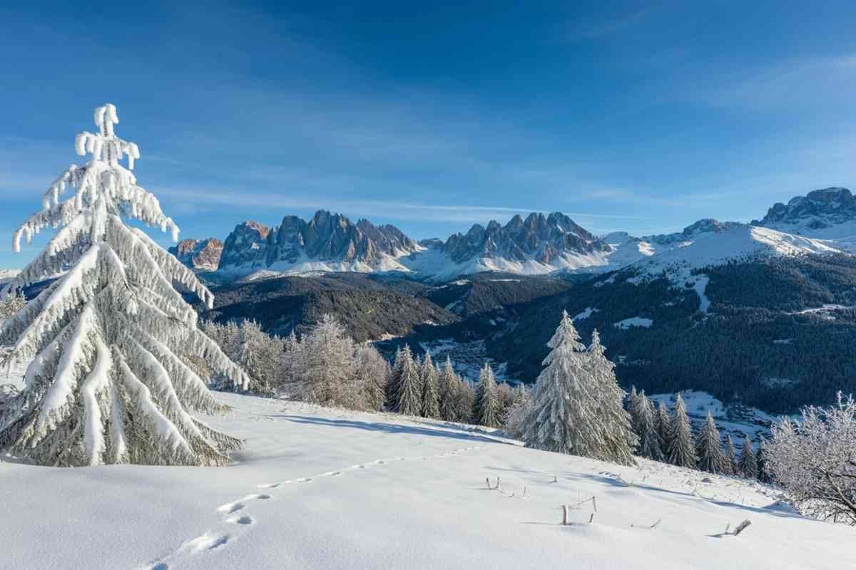 Weekend di freddo intenso, ma la primavera è dietro l'angolo: ecco le previsioni