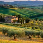 Il biopic su Cucinelli: un viaggio nella vita del maestro del cashmere in arrivo ad aprile negli Usa