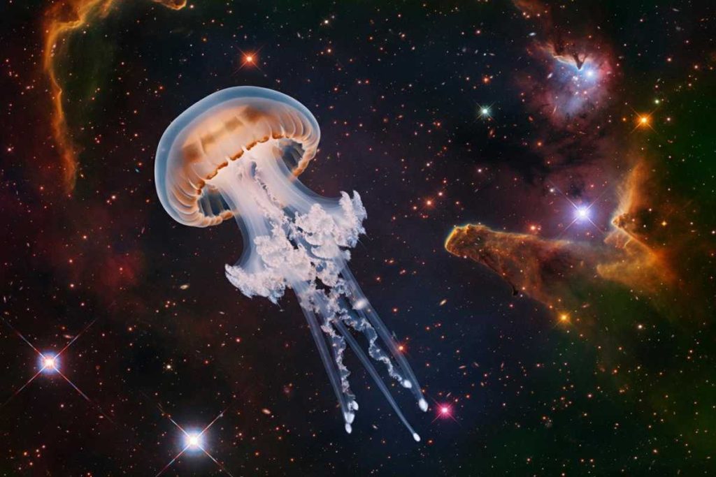 Scopri 1.300 curiosità su meduse e anelli galattici nell'archivio di Hubble