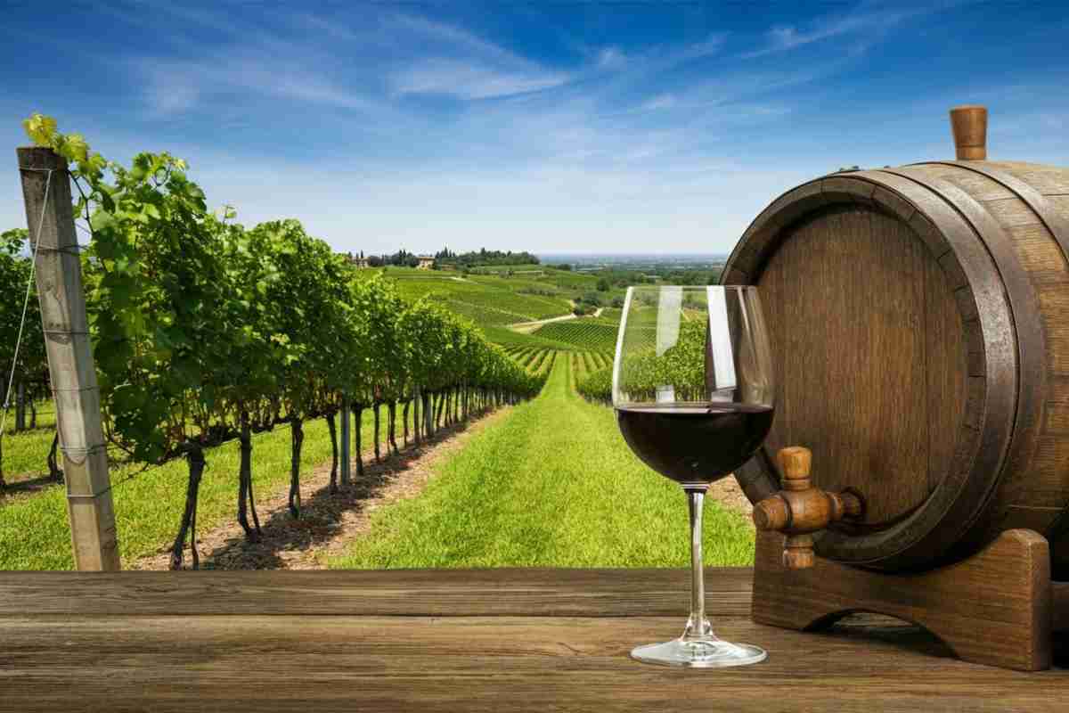 Valpolicella in crisi: i dazi Usa non fermano la resistenza dei vini rossi veneti